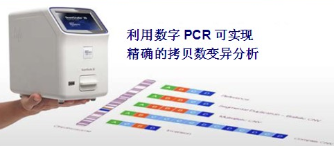 将来数字PCR仪将会占有最为宽泛的市场